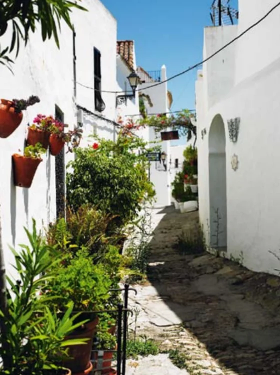 white washed houses 